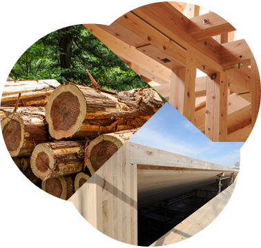 都市における木材需要の拡大事業
